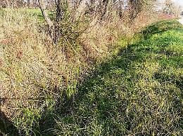 Loreggia (PD). Manutenzione della rete idrografica. In corso un intervento di sanificazione sui fossi per quasi 5 chilometri 
