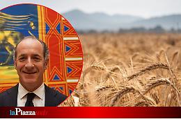 Il Veneto al primo posto per i pagamenti in agricoltura: Zaia esprime soddisfazione per l'efficienza del sistema

