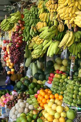 Agricoltore di Rovigo denunciato: avvelenava la frutta per cacciare le nutrie