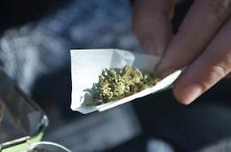 Operazione antidroga a Vittorio Veneto: controllati centinaia di studenti