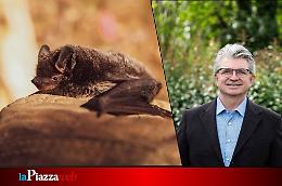 Concerti a Forte Marghera: i Verdi chiedono lo stop per proteggere i pipistrelli
