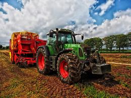 Antica Fiera di Godega: agricoltura, tradizione e innovazione in 24mila metri quadrati