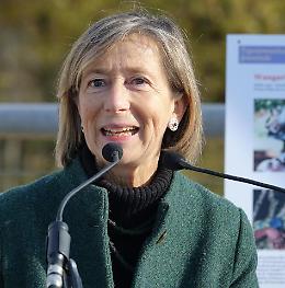 Padova, ridotti gli orari dell'anagrafe di Forcellini: Luciani critica, Benciolini spiega la situazione