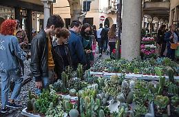 Padova rinasce: iniziative Primaverili e Autunnali per valorizzare il Commercio Locale con il Supporto del Comune