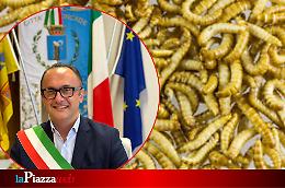 Roncade, larve nella pasta della mensa scolastica: il Sindaco assicura trasparenza e azioni rapide

