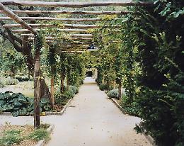 Venice Gardens Foundation lancia due premi letterari per la natura