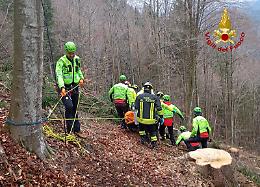 Enego, boscaiolo colpito da un albero: interviene l'eliambulanza 
