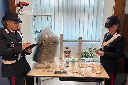 Il corriere consegna l'erba all'indirizzo sbagliato, blitz antidroga a Montegrotto Terme