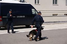 53enne arrestato a Sinigallia, era ricercato da anni a Verona
