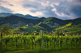 Turismo in Veneto, oltre 73 milioni di presenze nel 2024: boom per le Colline del Prosecco