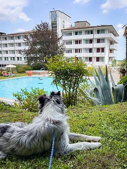 Primavera all’Hotel Millepini: il risveglio della natura e del benessere
