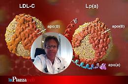 Lipoproteina A e rischio cardiovascolare: la scoperta di nuove molecole per contrastarla