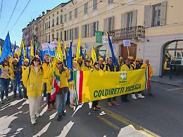 Efsa: massima prudenza sui cibi di laboratorio, via libera a test clinici e preclinici