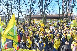 In 20mila a Parma per la sicurezza alimentare: la protesta di Coldiretti davanti all'Efsa

