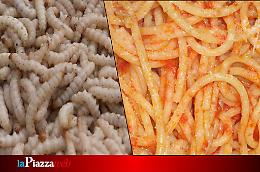 Treviso, scoperta shock in mensa: bambino trova una larva nella pasta 