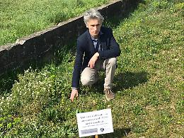 Il progetto di via Cisole tra cementificazione e inflazione: la sfida per Treviso