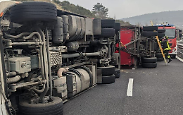 Porto Viro, si ribalta un camion a Ca' Contarini: animali gravemente feriti 