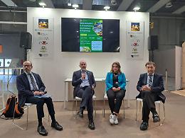 Forza Italia in difesa dell’olivicoltura: “Proteggere gli uliveti significa difendere il nostro territorio”