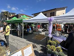 Festa degli Orti: Scorzè celebra la terra e i suoi frutti
