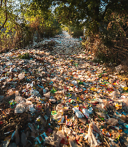 Mira. Ambiente, un progetto per la raccolta dei rifiuti galleggianti