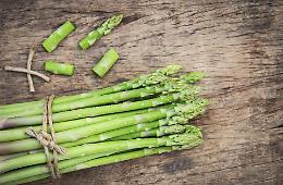Coldiretti: con la primavera boom di asparagi ed erbe spontanee nei campi
