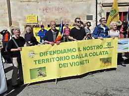 1500 partecipanti alla marcia stop pesticidi: un appello per un'agricoltura sostenibile

