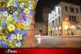Noale in Fiore: il centro storico si trasforma in un giardino a cielo aperto