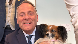 Pet Therapy e umanizzazione delle cure: l'incontro il 9 aprile a Treviso