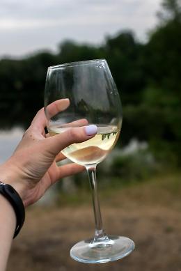 Il vino del Delta: un nuovo capitolo per il Pinot Grigio