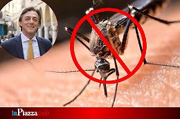 Allarme zanzare a Padova: col ritorno del caldo scattano le misure preventive