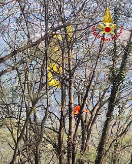 Bassano del Grappa, finisce con il parapendio sopra un albero
