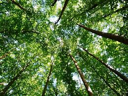 Clim-Act 2025: una settimana di eventi per affrontare i cambiamenti climatici a Verona