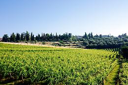 Pasquetta tra natura, storia e sapori: trekking panoramico sulle colline di Verona