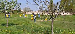 "Bimbalbero": a Legnaro un albero per ogni nuovo nato 
