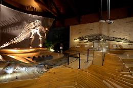 Scoperta straordinaria nella laguna di Venezia: ritrovato un Vivarium romano del I Secolo d.C.