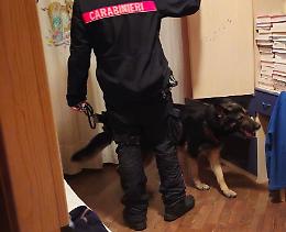 Operazione antidroga a Piombino Dese: arresti e sequestri da parte dei Carabinieri