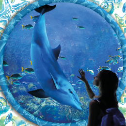 Esplora il Mondo Marino: Mostra 'Aquarium' alle Brentelle tra Edutainment e Sostenibilità
