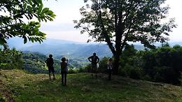 Le dolci colline di Ogliano: un viaggio nel cuore della natura e della storia veneta