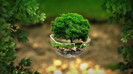 Vicenza verde e vivace: giardini segreti, arte e mercatini per la Domenica Ecologica