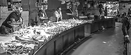 Azienda fantasma a Treviso: ordinati 100mila euro di pesce non pagati
