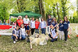 A Trebaseleghe vince il verde: una giornata di ecologia e solidarietà nell'Alta Padovana