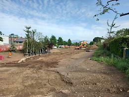 Dissesto idrogeologico, nasce il primo bosco urbano per difendersi dall’acqua
