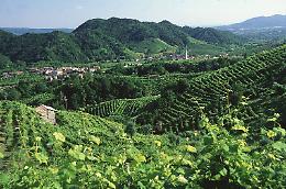  "Go To Veneto" ritorna sulle Colline del Prosecco: vino, storia e tradizioni