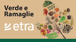 ETRA - DOVE LO BUTTO?