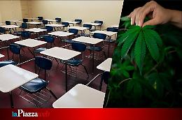  Maestra d’asilo e pusher: shock a Campodarsego per una doppia vita nascosta