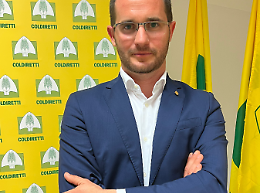 Polesine al bivio: tra tutela del Delta del Po, consumo di suolo e agrivoltaico