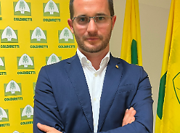 Agricoltura in bilico: come il cambiamento climatico riscrive il futuro dei campi