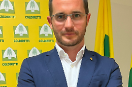 Maltempo devastante in Veneto, Coldiretti: “Coltivazioni distrutte, serve un piano urgente contro la crisi climatica”
