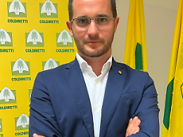 Agricoltura in bilico: come il cambiamento climatico riscrive il futuro dei campi