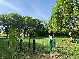 "Vigonza diventa più pet-friendly: riaprono le aree di sgambamento per cani rinnovate e sicure"